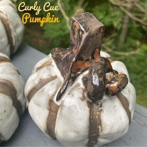 White Pumpkins Handcrafted Chocolate/white pottery Halloween Autumn Than…